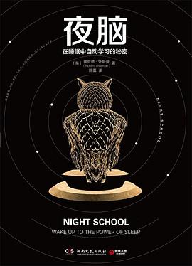 夜脑：在睡眠中自动学习的秘密