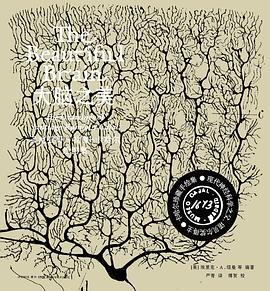 大脑之美：圣地亚哥·拉蒙-卡哈尔绘图集